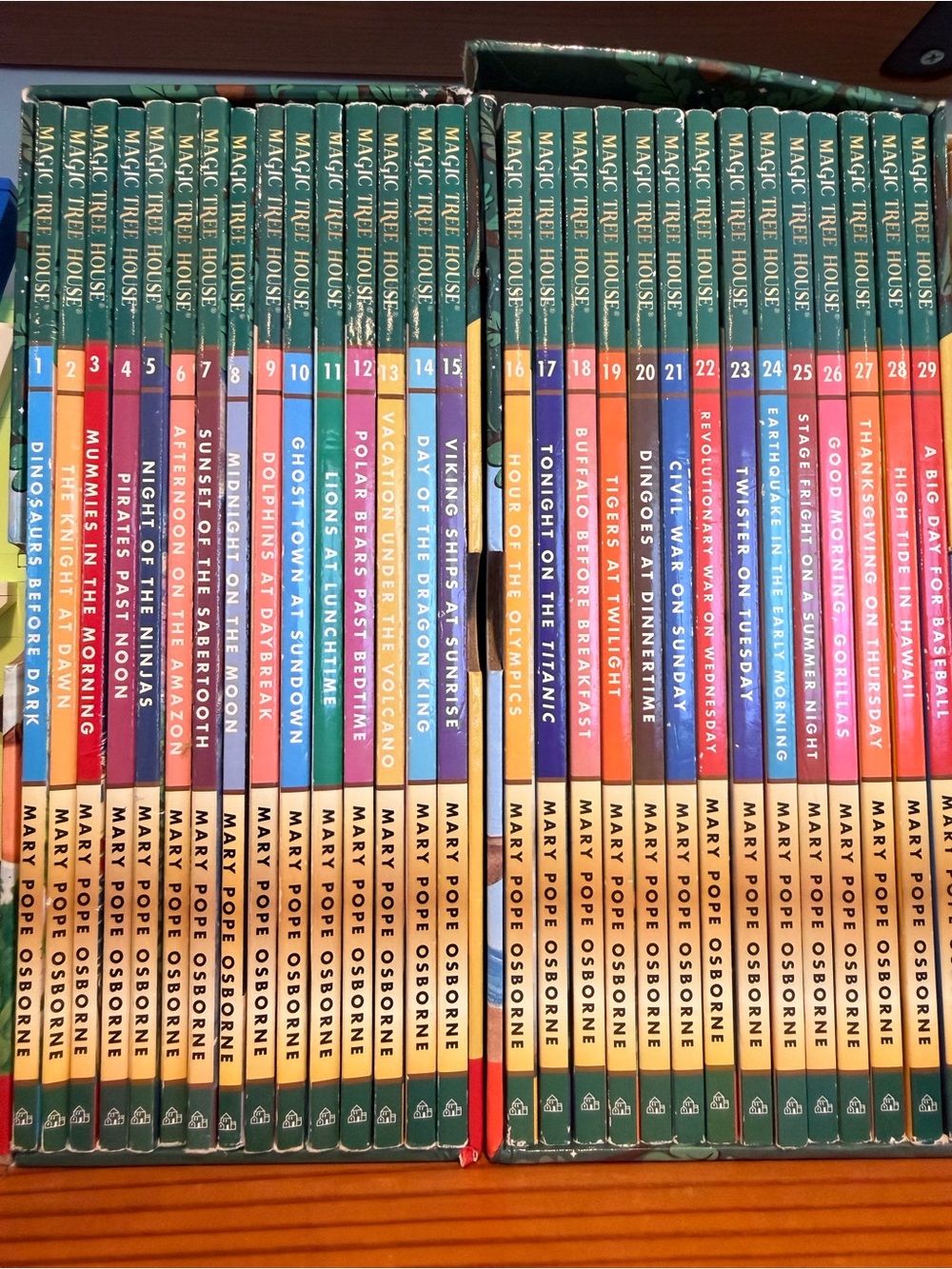 Magic Treehouse Book Set #1-29